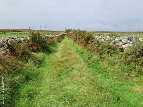 Empty moore landscape in England with overgrown road  stone walls  and old house in the distance