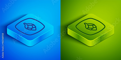 Isometric line Hop icon isolated on blue and green background. Square button. Vector