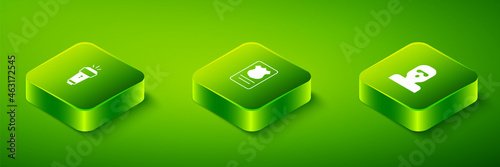 Set Isometric Police badge with id case, Thief mask and Flashlight icon. Vector