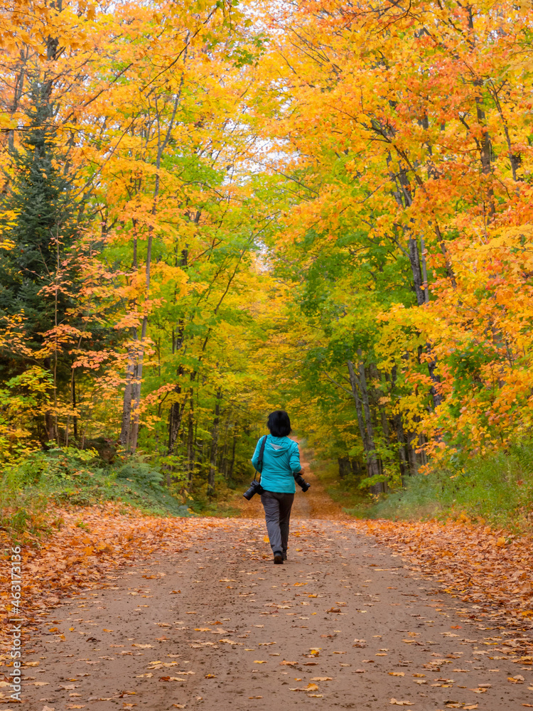 Wavy curvy country roads under autumn scenes 