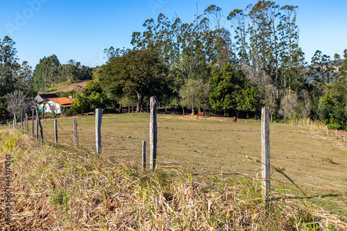 Farm house and fields with herd and forest