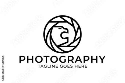 photography logo design, lion logo design, studio logo template