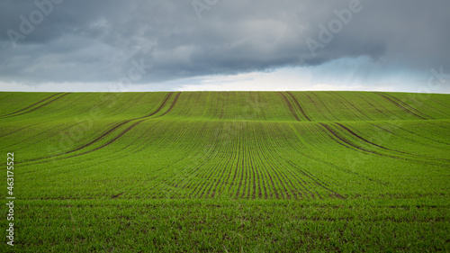 Green field against dark sky in rural Scotland.