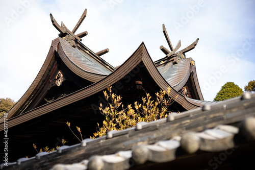 EOSRP.東広島市榊山八幡神社、本殿屋根。 photo
