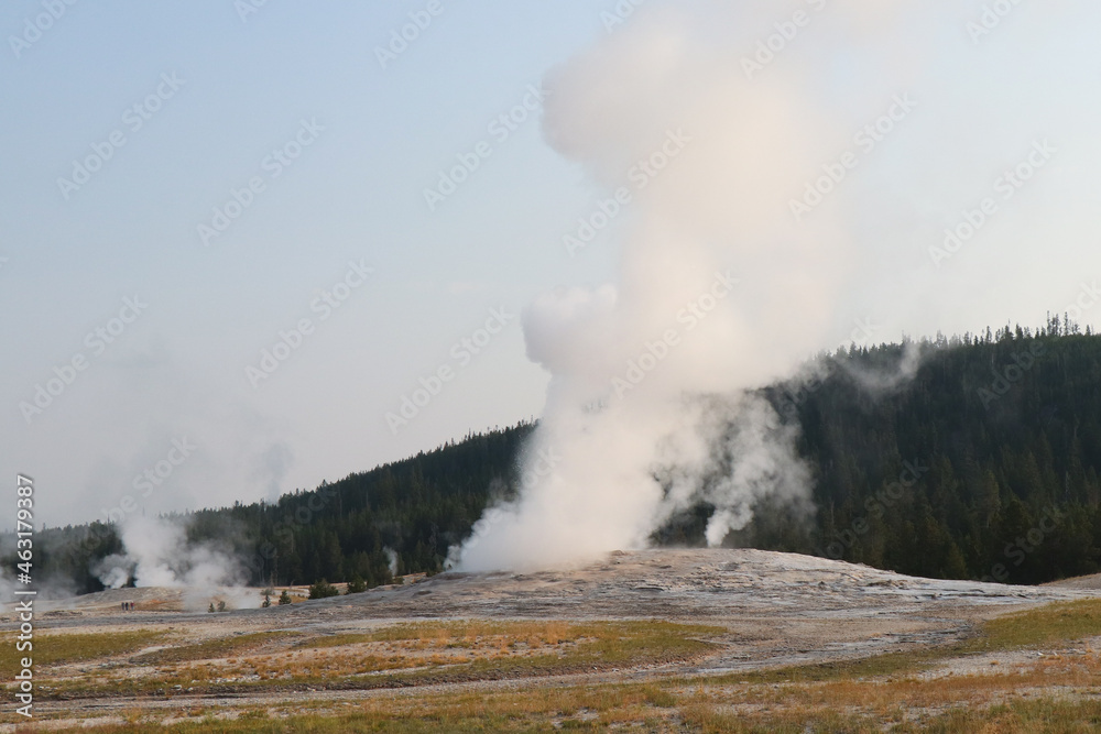 Yellowstone National Park Geyser Erupting