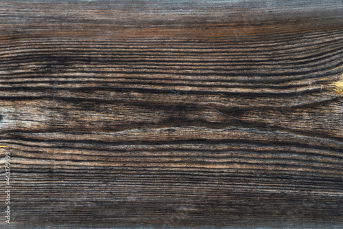 grunge background: sunburnt whitened wood surface close, cracks and dents, toning