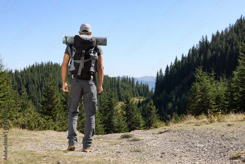 Tourist with backpack in mountains on sunny day, back view. Space for text