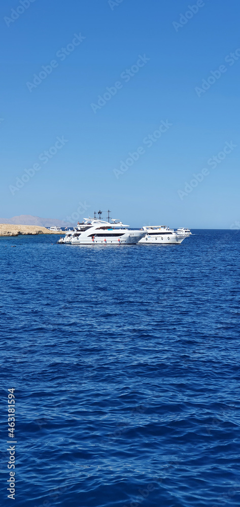 Beautiful yachts in Egypt. White yachts at sea. Marine background.
