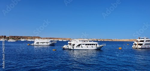 Beautiful yachts in Egypt. White yachts at sea. Marine background.
