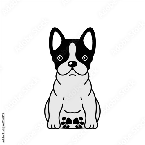 French Bulldog フレンチブルドック