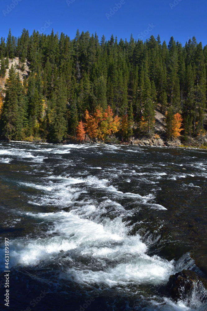 white water rapids white water rapids