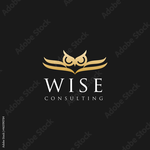 Luxury Classic Vintage Logo Design for Business Consulting Service  Advisor Finance Solution