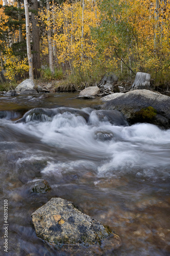 Fototapeta Naklejka Na Ścianę i Meble -  Cascading river beside Eastern Sierra Fall Autumn color