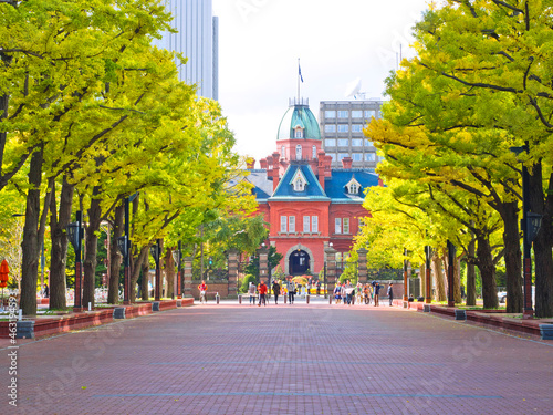 Quadro su tela Former Hokkaido Government offices at Sapporo, Hokkaido, Japan
Public park at Former Hokkaido Government offices in Sapporo, Hokkaido, Japan