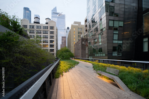 View from the High Line