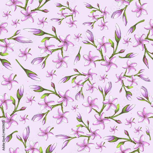 Seamless pattern composed of sketches of blooming plumeria twigs