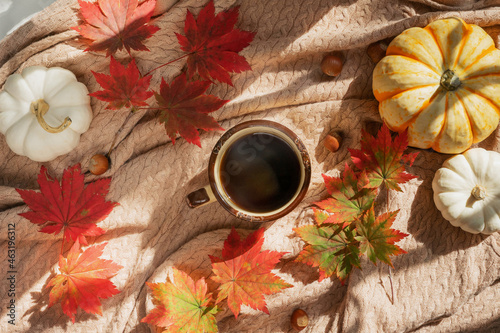 A mug of coffee, hazelnuts and red maple leaves and mini pumpkins on a knitted blanket. Autumn background with copy space.