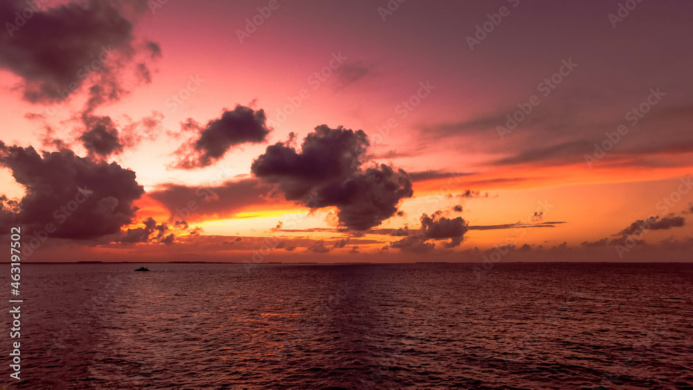 Fototapeta premium Sunset in the sea 