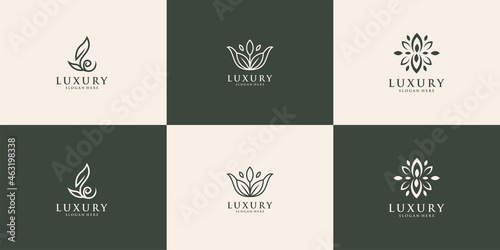 Set of abstract flower rose logo inspiration