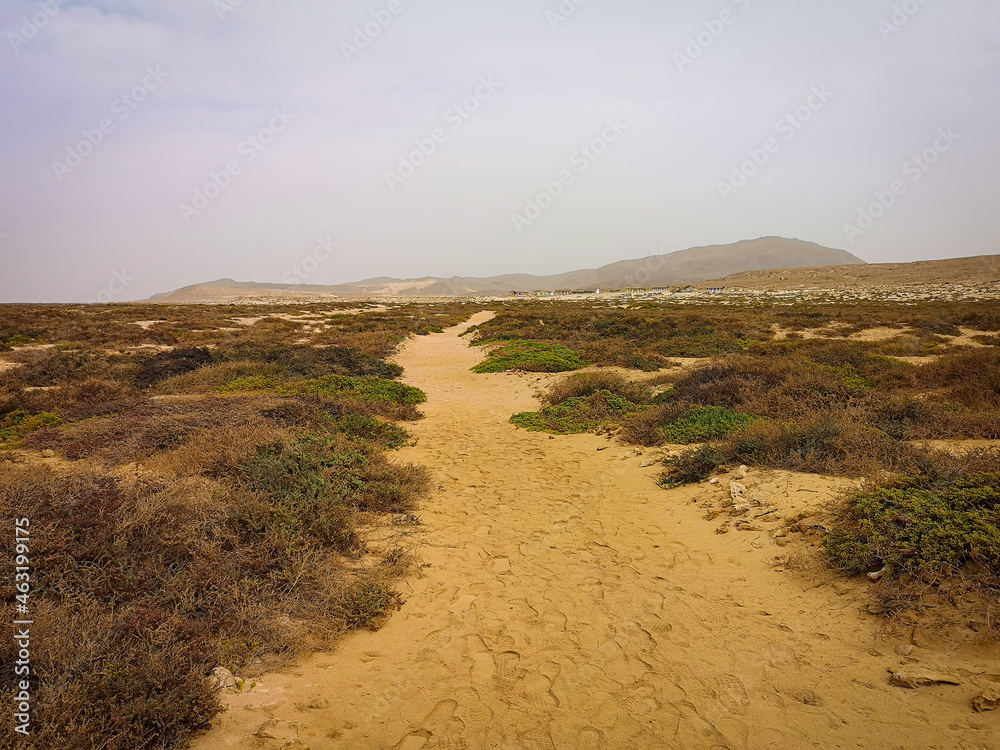 Path in a volcanic desert, Boa Vista Island, Cape Verde. Sandy road to a hotel in the middle of nowhere. Selective focus on the details, blurred background.