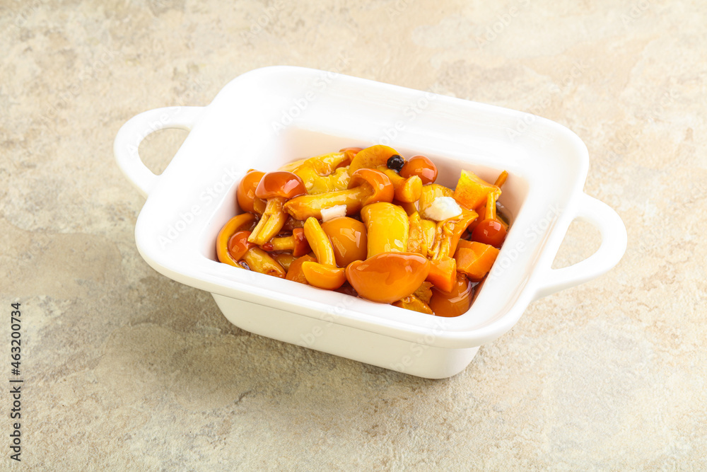 Marinated pickled honey mushrooms in the bowl Marinated pickled honey mushrooms in the bowl