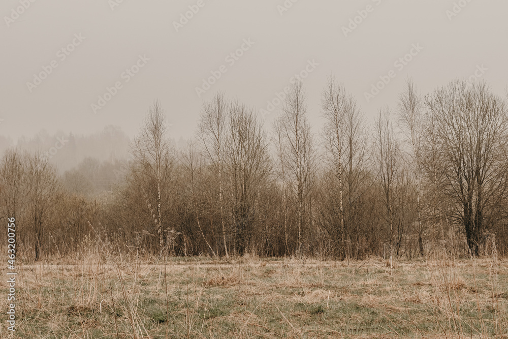 Early spring in the countryside. Dry grass and trees without leaves.