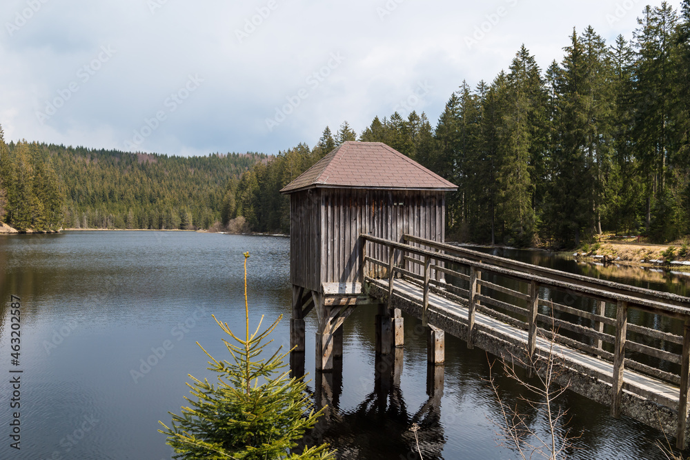Obraz premium small lake in the Waldviertel