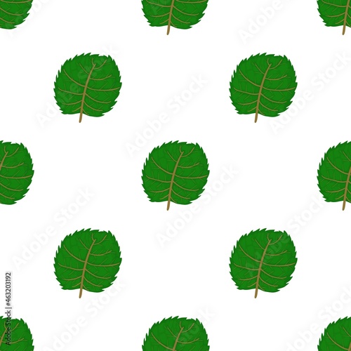 Linden leaf pattern seamless background texture repeat wallpaper geometric vector