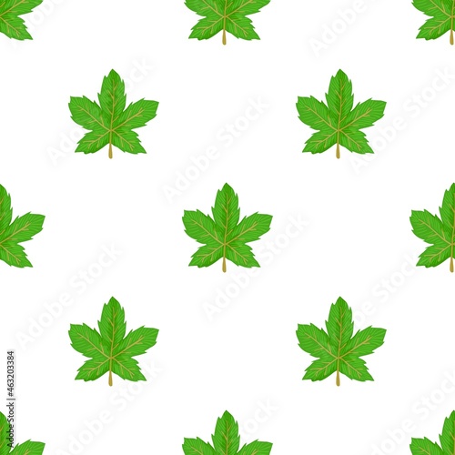 Maple leaf pattern seamless background texture repeat wallpaper geometric vector