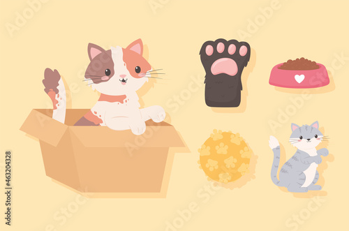 pets adoption icons