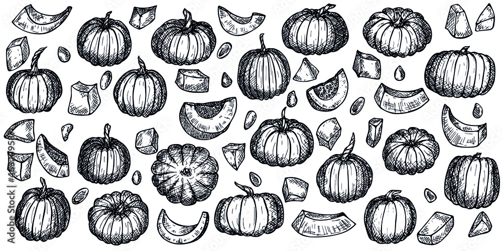 Vector hand drawn set of pumpkin. Isolated object on white background. Vegetable harvest illustration. Detailed vegetarian food sketch. Farm market product. Elements for autumn design, decoration. Vector hand drawn set of pumpkin. Isolated object on white background. Vegetable harvest illustration. Detailed vegetarian food sketch. Farm market product. Elements for autumn design, decoration.