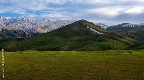 landscape in summer