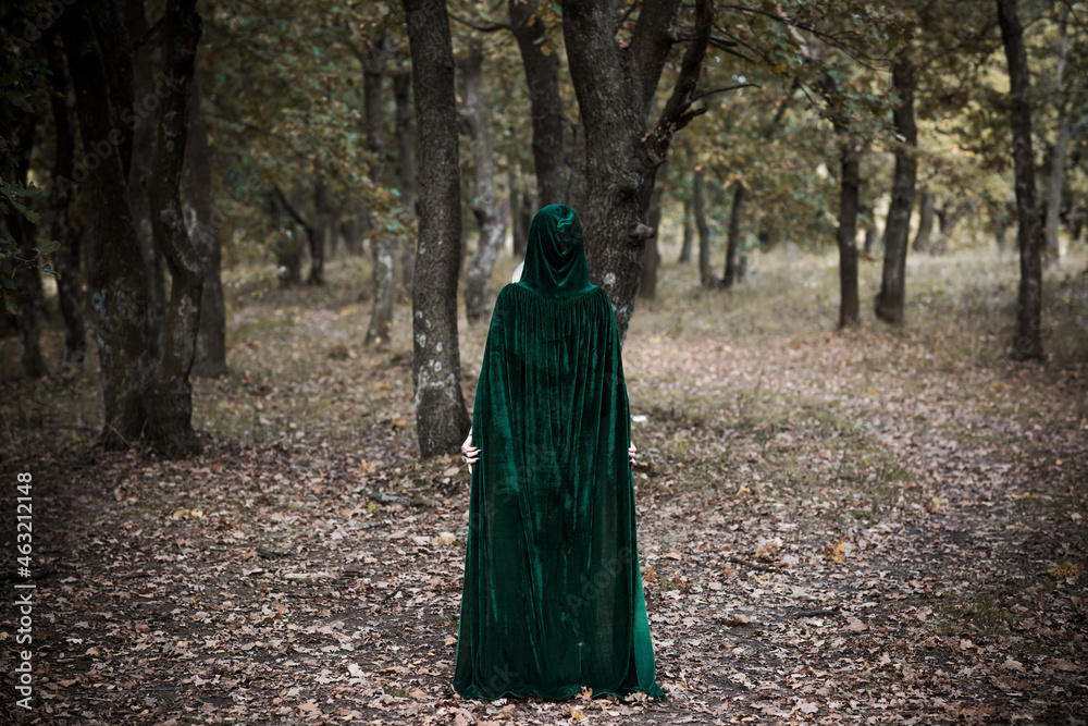 Dark mystical forest, Halloween ideas for party, outfits for ladies, concept of wizards and magic Dark mystical forest, Halloween ideas for party, outfits for ladies, concept of wizards and magic