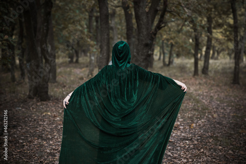  Dark mystical forest, Halloween ideas for party, outfits for ladies, concept of wizards and magic photo