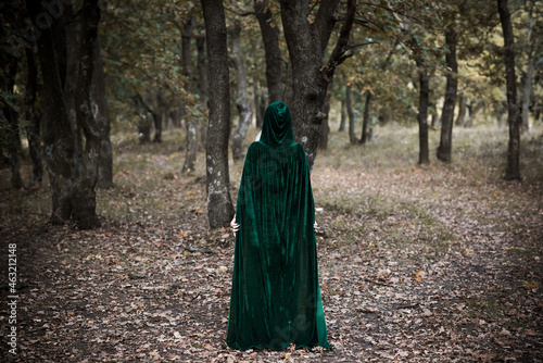  Dark mystical forest, Halloween ideas for party, outfits for ladies, concept of wizards and magic photo