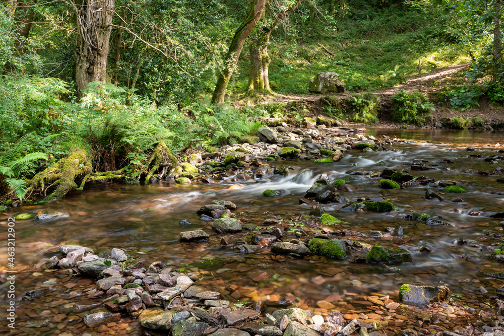Long exposure of the Horner Water river flowing through Horner woods in Somerset Long exposure of the Horner Water river flowing through Horner woods in Somerset
