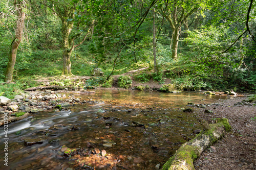 Long exposure of the Horner Water river flowing through Horner woods in Somerset photo