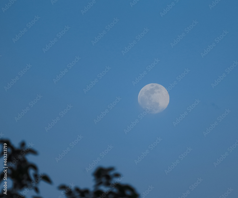 moon in the sky