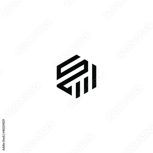 Initial letter SM hexagon logo design vector