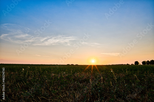 Meadow at sunrise on a blue sky