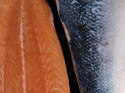 Raw salmon fillet. Skin. Dark background
