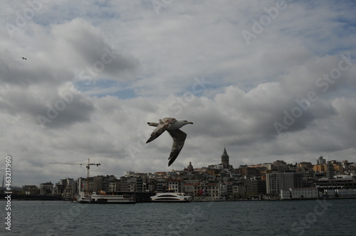 A tour on the coast of the Bosphorus in Istanbul - Turkey Boats and tourists on the Galata Bridge and Galata Tower and fishermen. Seagulls are flying, an old man and his wife are back watching the sun