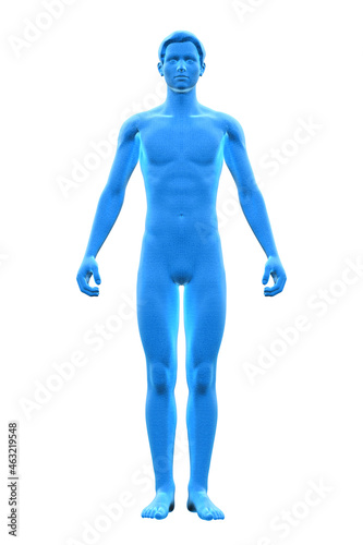 Man  Body of Human Male  3D