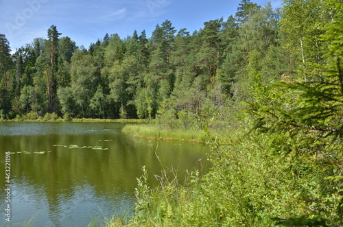 Green forest surrounding a lake in Belarus 