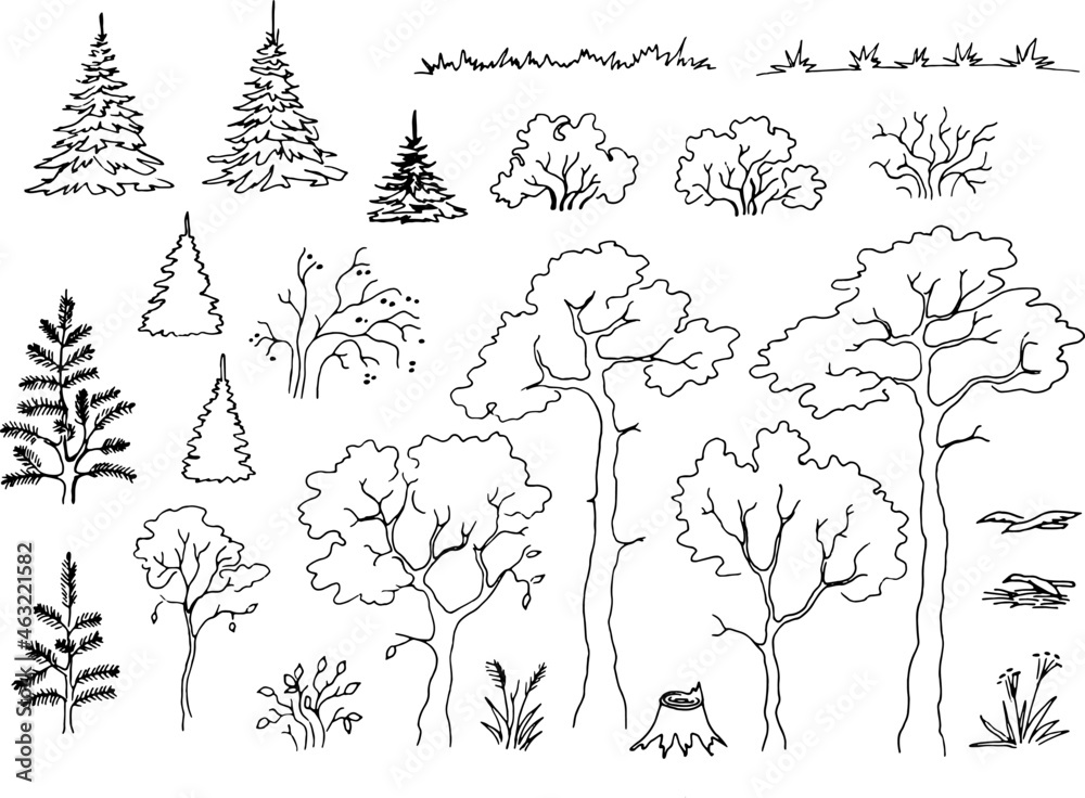 Set of forest plants coniferous and deciduous	
