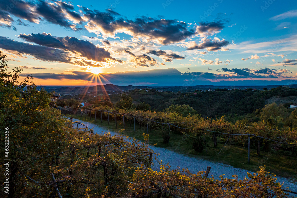 Colorful sunset in the vineyards at the border between Italy and Slovenia