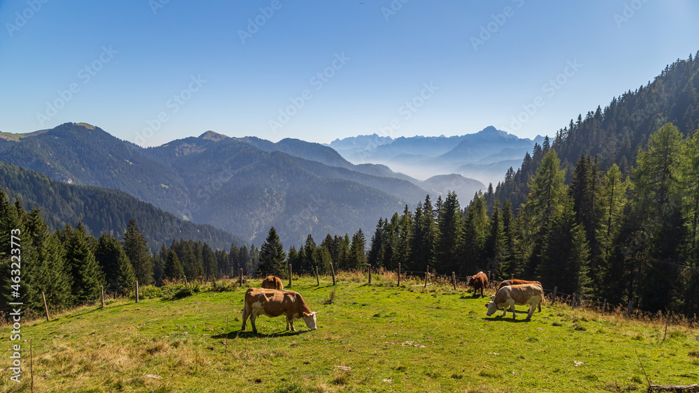 Fototapeta premium Julian Alps in September are beautiful!
