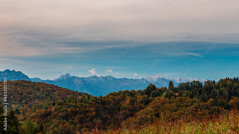 Colors are exploding in the woods of Carnic Alps