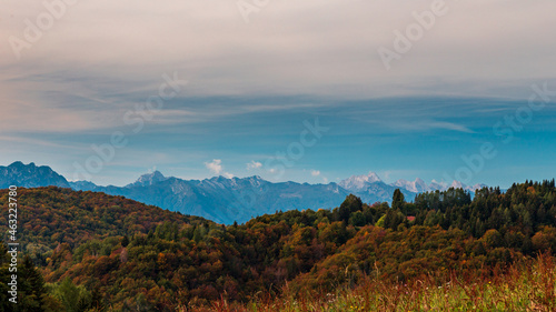 Colors are exploding in the woods of Carnic Alps