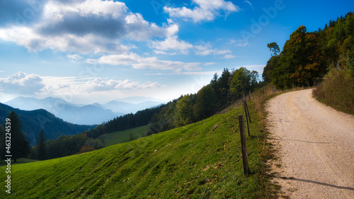 Landschaftsaufnahme einer Almwiese mit Bergen im Hintergrund unter blauem wolkigen Himmel und einer Forststraße welche auf der rechten Seite aufwärts führt